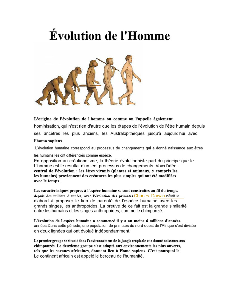 Évolution de l'Homme et Hominisation | PDF | Évolution humaine | Homo