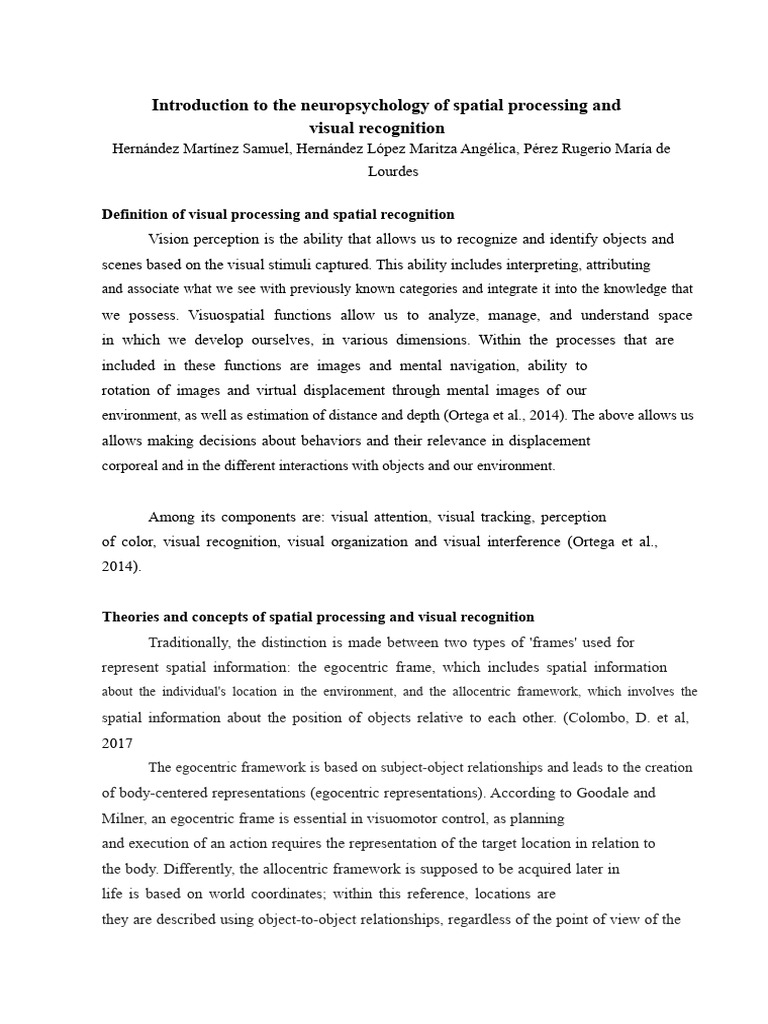 Neuropsychology of Spatial Processing | PDF | Visual Cortex | Visual System