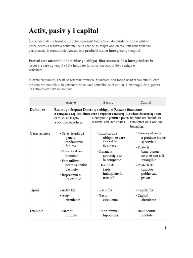 Activ, Pasiv Și Capital | PDF