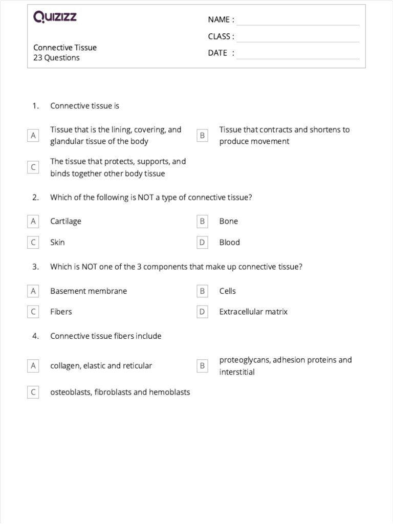 Connective Tissue Study Guide PDF | PDF | Connective Tissue | Cartilage
