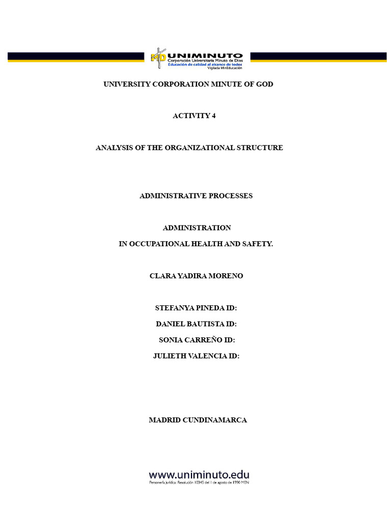 Organizational Structure Analysis in OHS | PDF