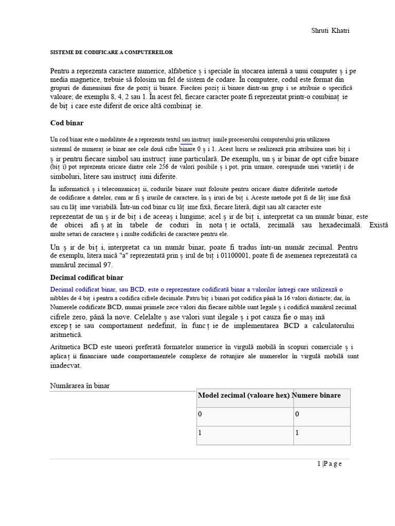 Sistem de Codare A Computerelor | PDF