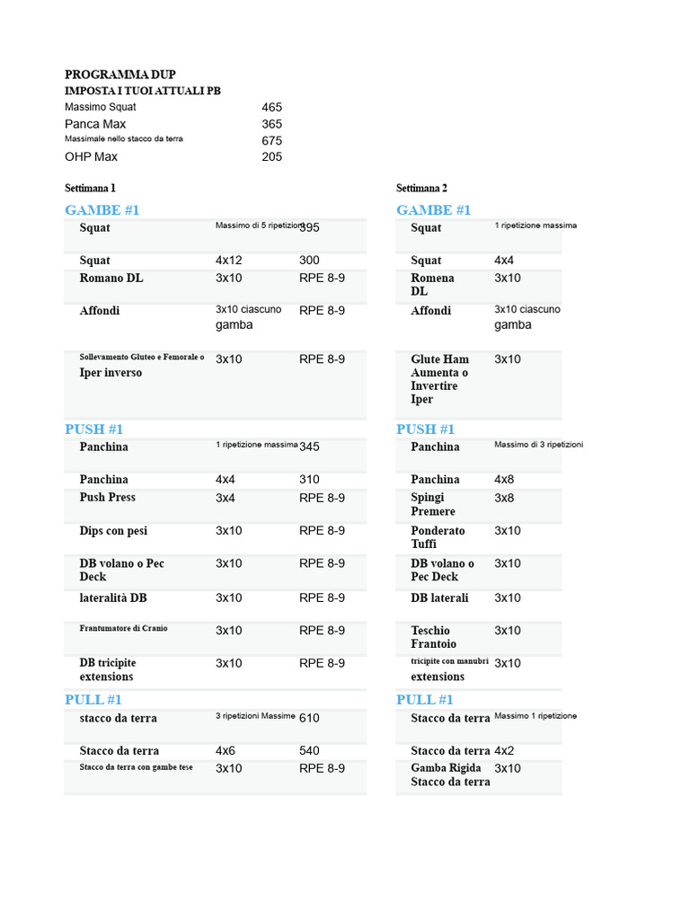 Programma DUP Di David Laid | PDF