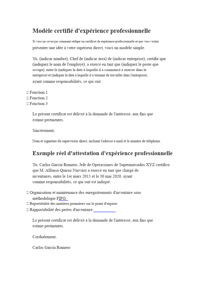 Modèle D'expérience Professionnelle | PDF