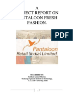 36759537 Pantaloon Project