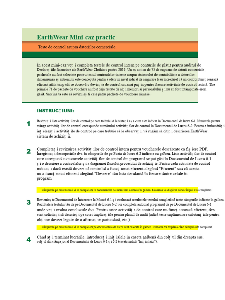 6.2 Mini - Caz - Test de Control - AP | PDF
