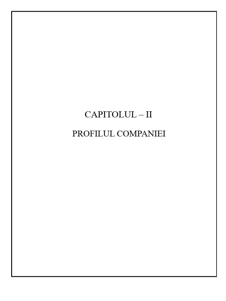 Raport Dmart-2 Profilul Companiei | PDF