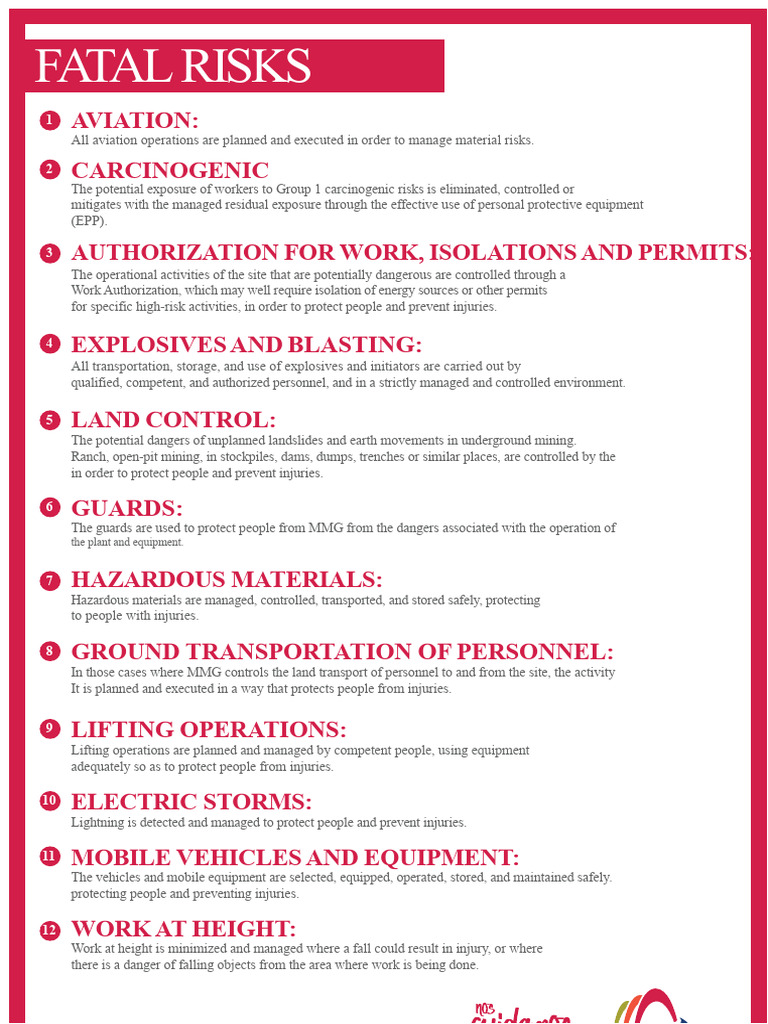 Fatal Risks v2 | PDF