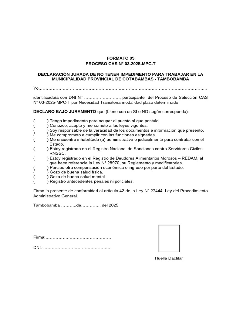 Formato 05 Cas No 03 2025 MPCT | PDF