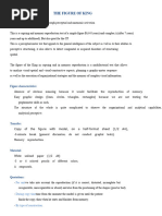 Rey Complex Figure Assessment Guide | PDF | Rectangle | Triangle