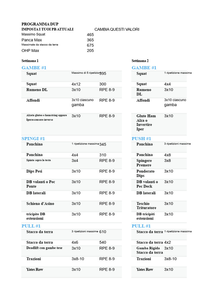 Programma DUP Di David Laid | PDF