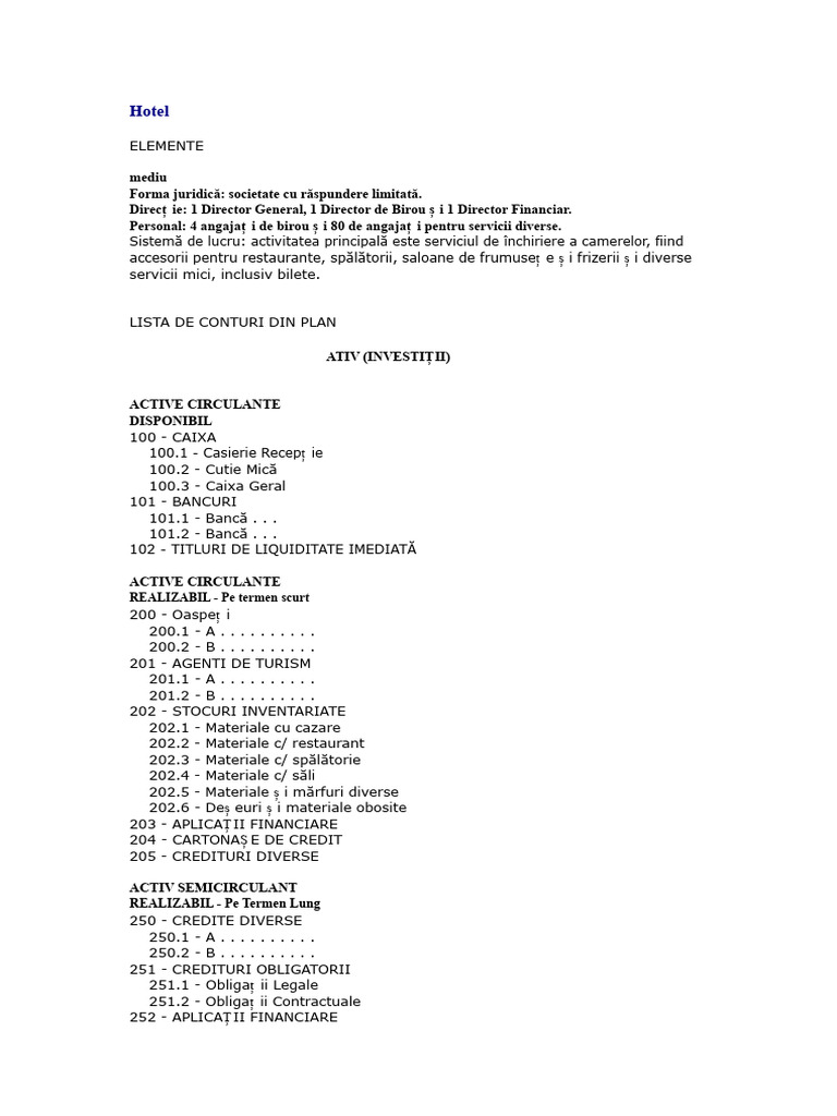 Model Plan de Conturi Hotel | PDF