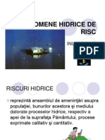 Fenomene Hidrice de Risc