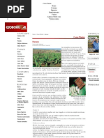 Como Plantar Bananeira