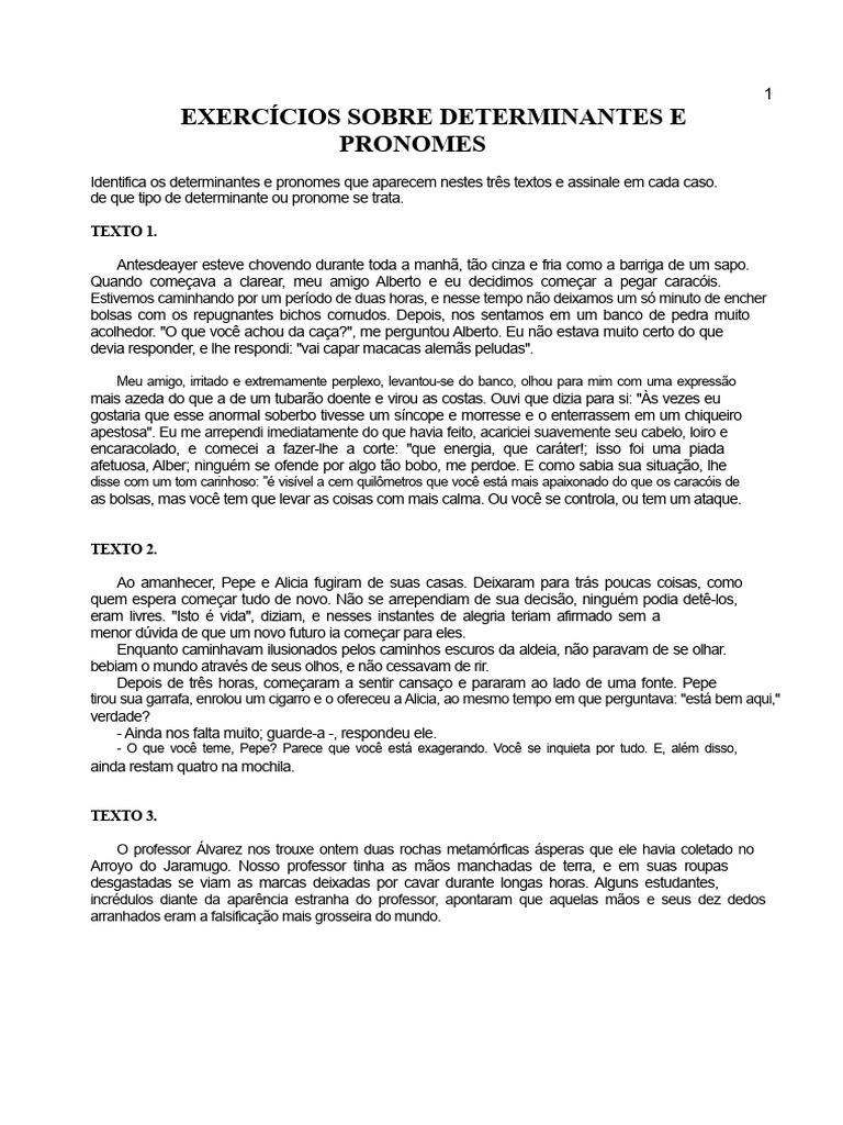 Exercícios de Determinantes e Pronomes | PDF | Pronome
