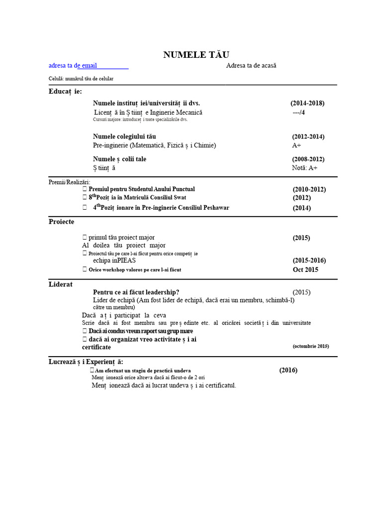 Exemplu CV (Format MIT) | PDF