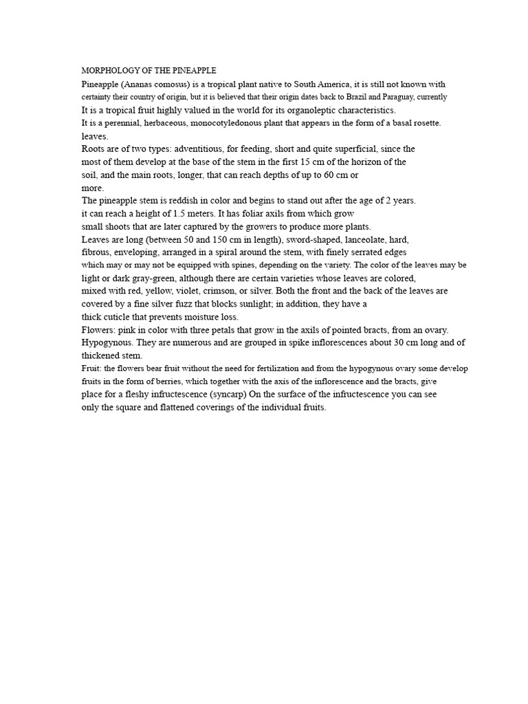 Pineapple Morphology Overview Pdf