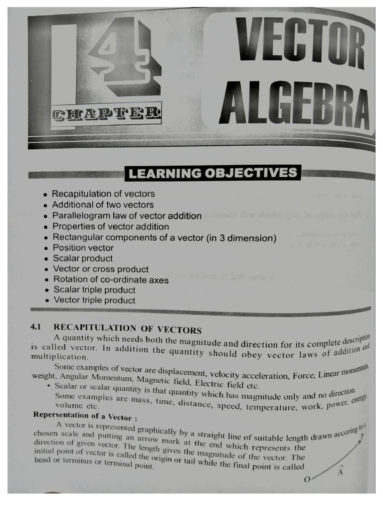 BSc 1st Year Physics: Vector Algebra Notes | PDF