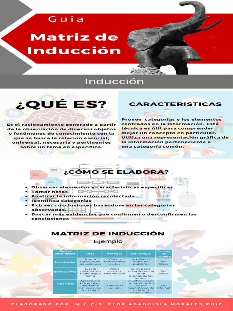 Guia de Matriz de Inducción - Fase1 | PDF