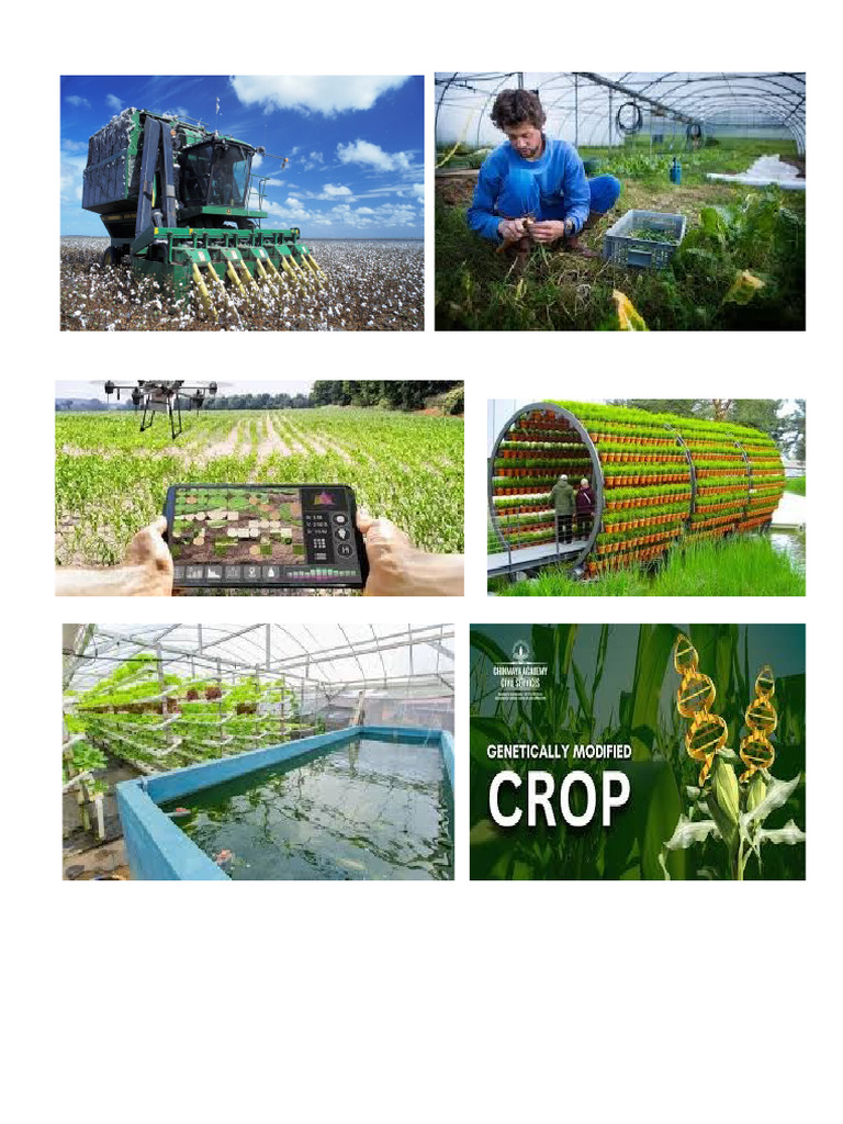 Eco | PDF