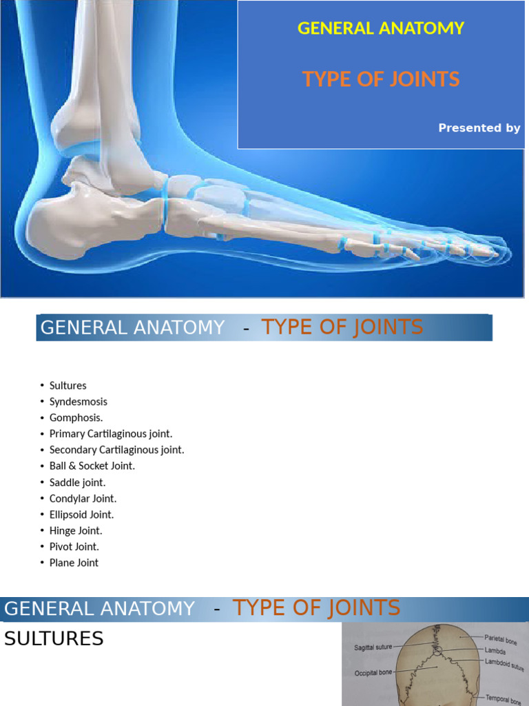 Types of Joints in Human Anatomy | PDF