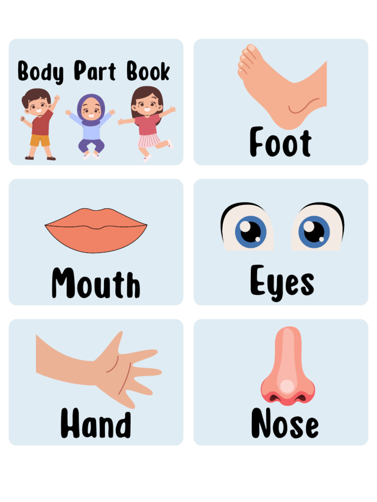 Body Part Book | PDF