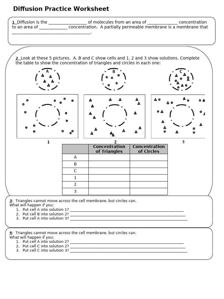 Diffusion Practice Worksheet for Students | PDF