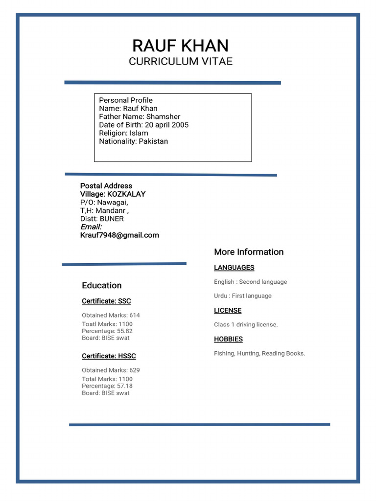 Resume of Rauf Khan | PDF