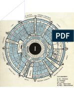 Mapa Iridiologico Izq