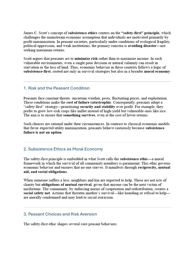 Safety-First Principle in Peasant Ethics | PDF | Risk | Capitalism