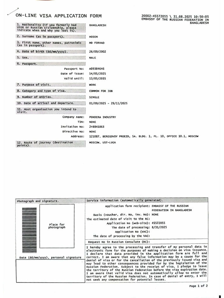 Visa Form | PDF