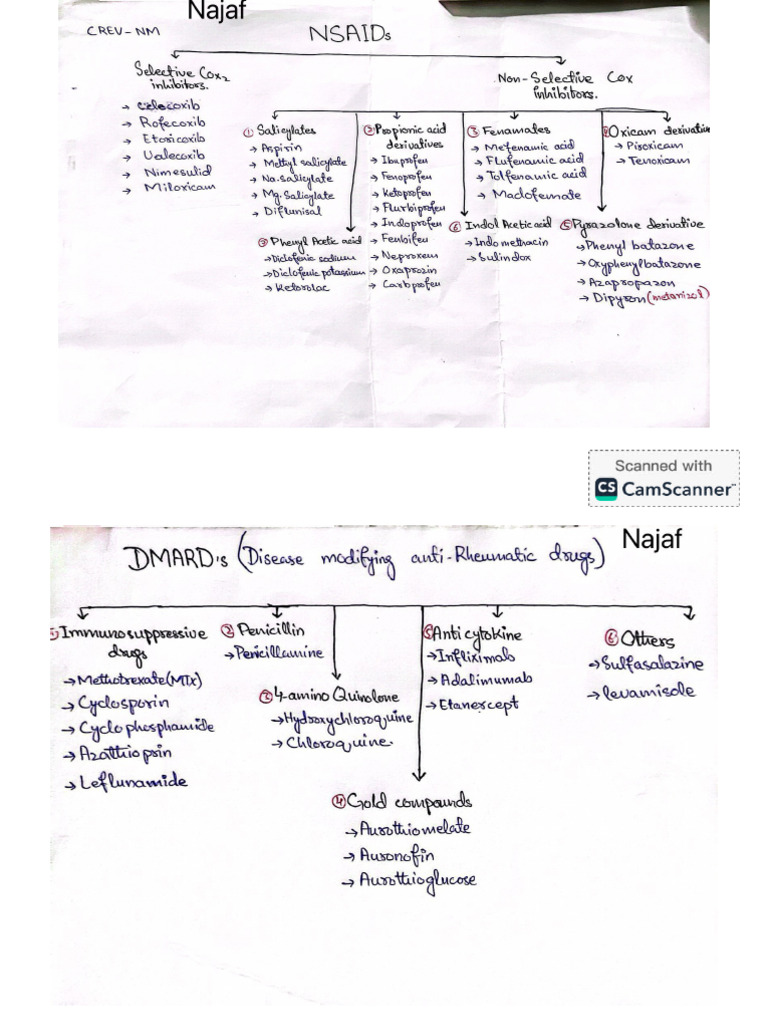 COLOGY, Classifications NAJAF 3 | PDF