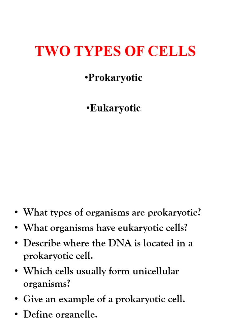 Prokaryotic vs Eukaryotic Cells Explained | PDF | Cell (Biology ...