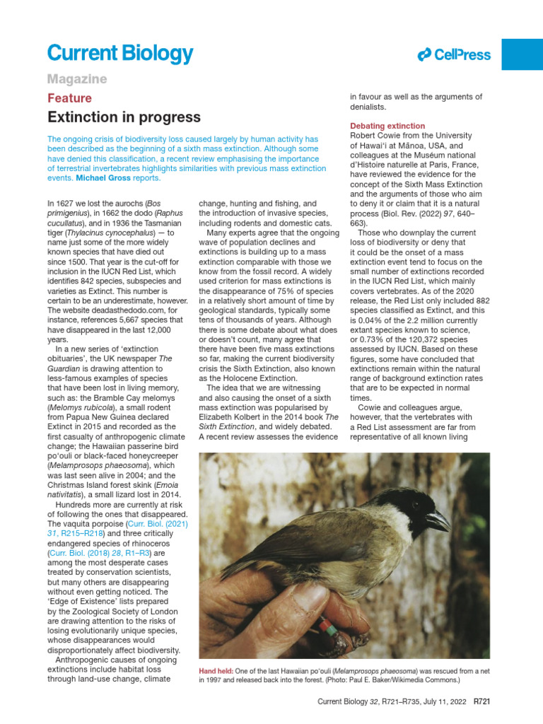 Sixth Mass Extinction Overview | PDF | Extinction | Biodiversity
