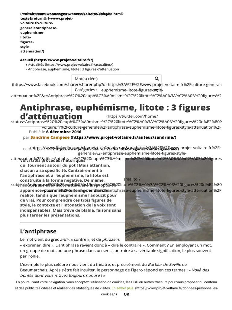 Figures d'atténuation : euphémisme, litote | PDF | Figures de style ...