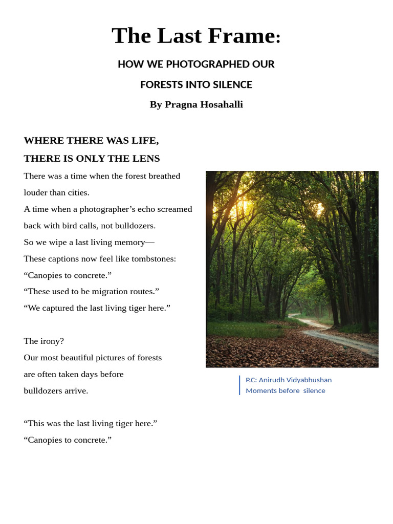 The Last Frame | PDF