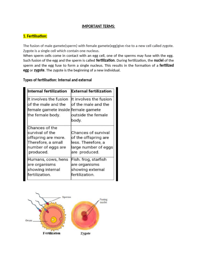 Fertilization and Embryonic Development | PDF