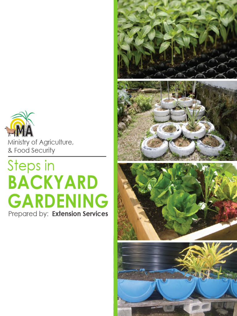 Essential Steps for Backyard Gardening | PDF | Vegetables | Foods