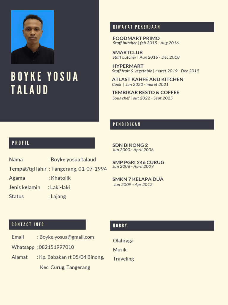 CV Boyke | PDF