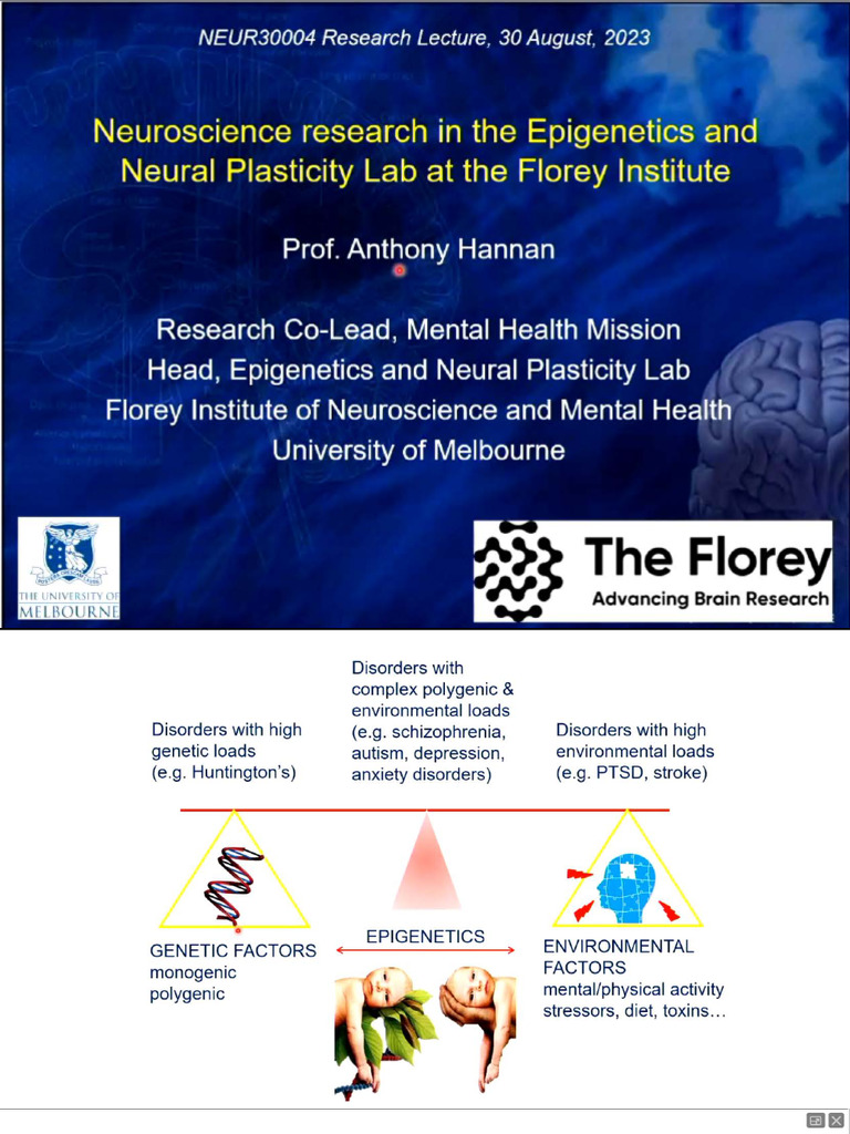 Epigenetics and Neural Plasticity | PDF