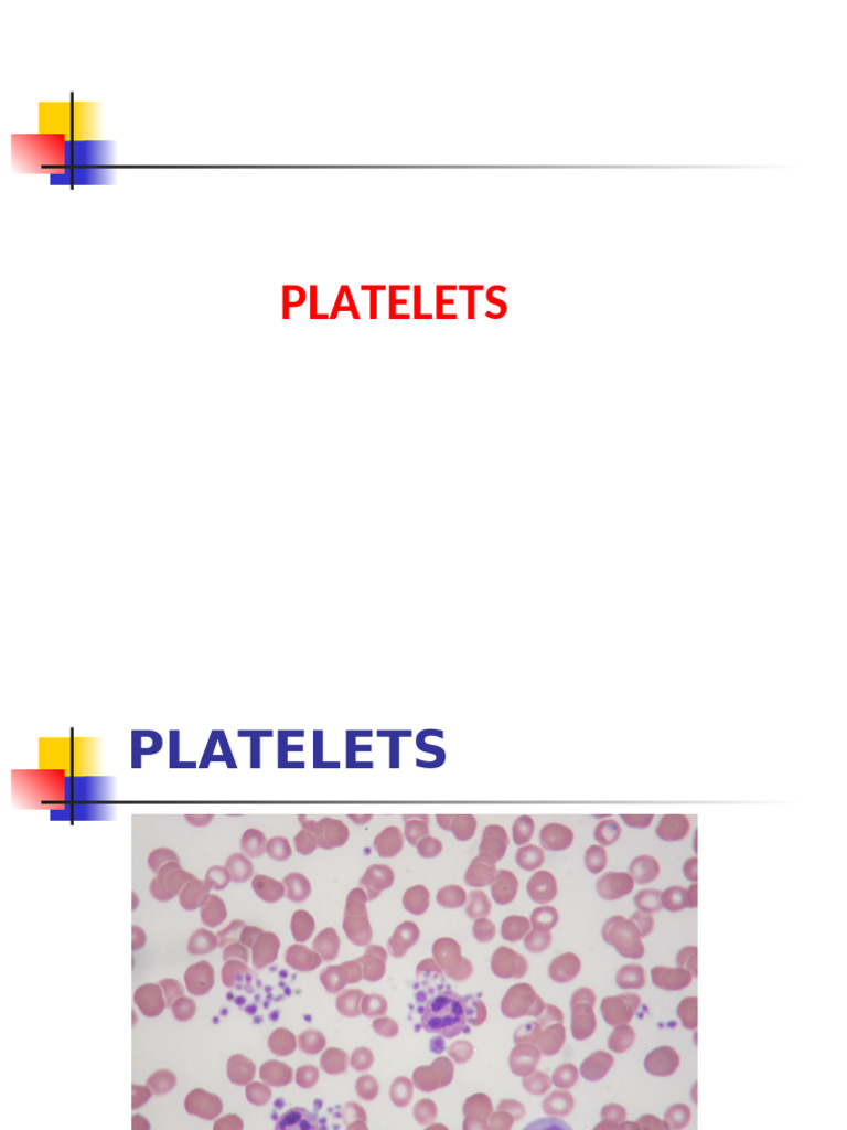 Understanding Platelets and Hemostasis | PDF | Coagulation | Platelet