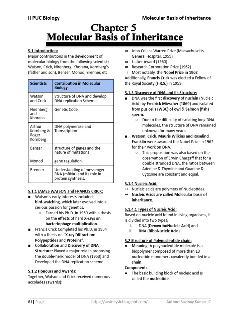 Molecular Basis of Inheritance Overview | PDF | Nucleotides | Dna