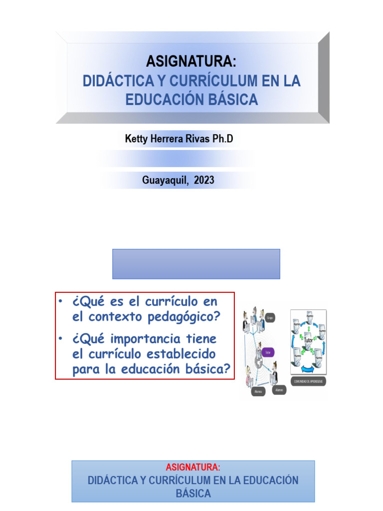 Didáctica y Currículo en Educación Básica | PDF | Plan de estudios ...