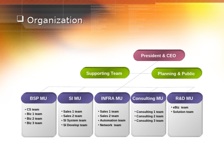 Organization | PDF