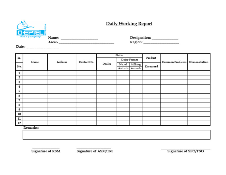 Daily Working Report | PDF