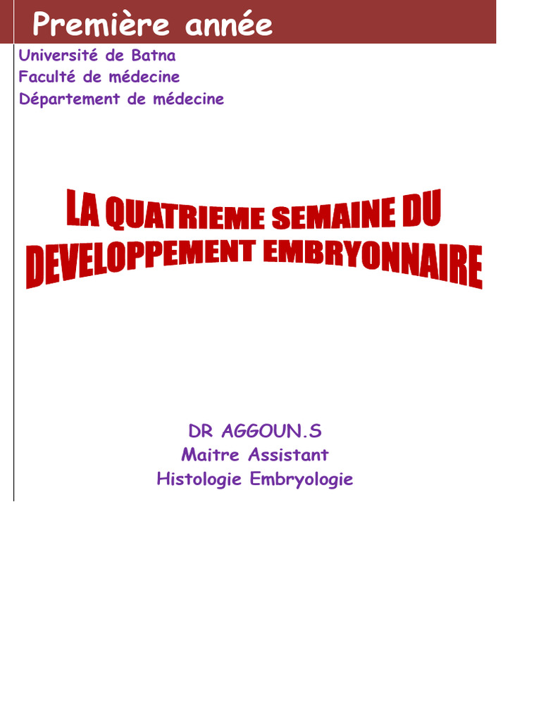 Développement embryonnaire à 4 semaines | PDF | Muscle | Biologie du ...
