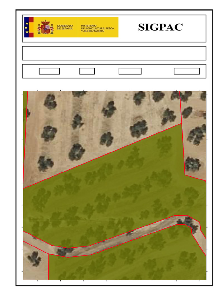 Sig Pac | PDF