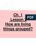 Lesson 2 How Are Living Things Grouped?