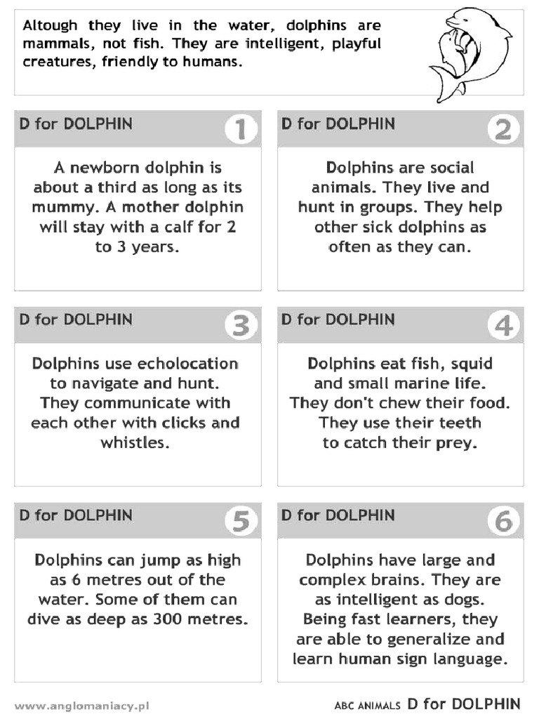 Dolphin | PDF