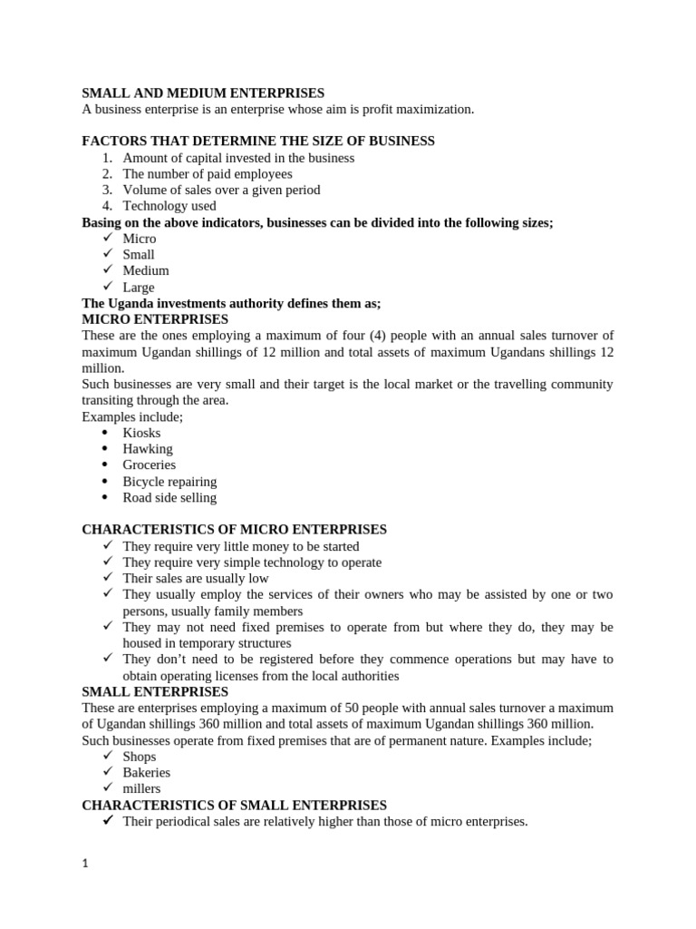 Overview of Small and Medium Enterprises | PDF | Insurance | Business